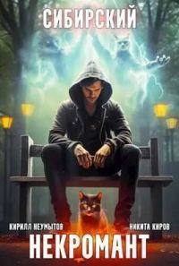 Обложка книги «Сибирский некромант 2»