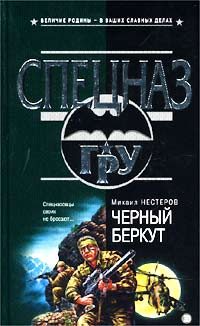 Обложка книги «Черный беркут»