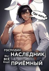 Обложка книги «Господин наследник, вы все еще приемный. Том 2»