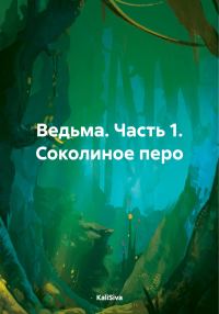 Обложка книги «Ведьма. Часть 1. Соколиное перо»