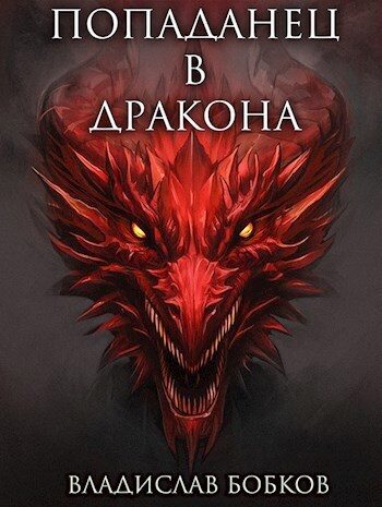 Обложка книги «Попаданец в Дракона 1»