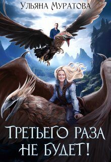 Обложка книги «Третьего раза не будет!»