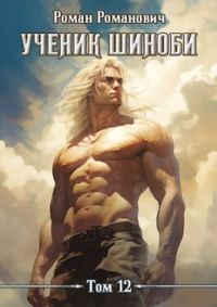 Обложка книги «Наместник»