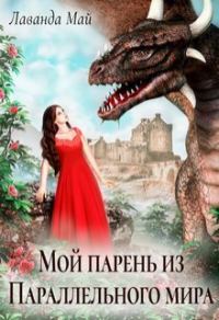 Обложка книги «Мой парень из Параллельного мира (СИ)»