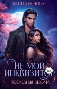 Обложка книги «Не мой инквизитор»
