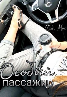Обложка книги «Особый пассажир»