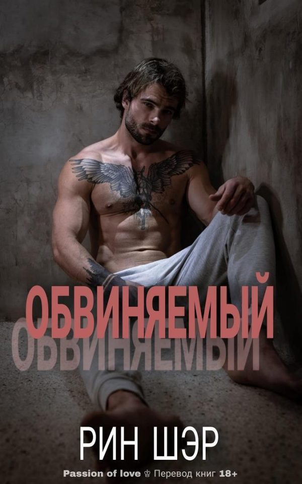 Обложка книги «Обвиняемый»
