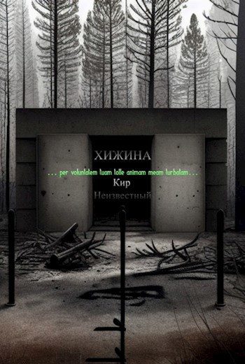 Обложка книги «Хижина»