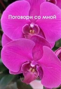 Обложка книги «Поговори со мной (СИ)»
