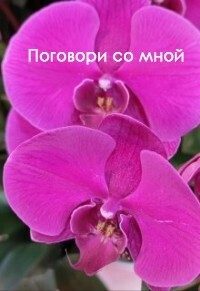Обложка книги «Поговори со мной (СИ)»