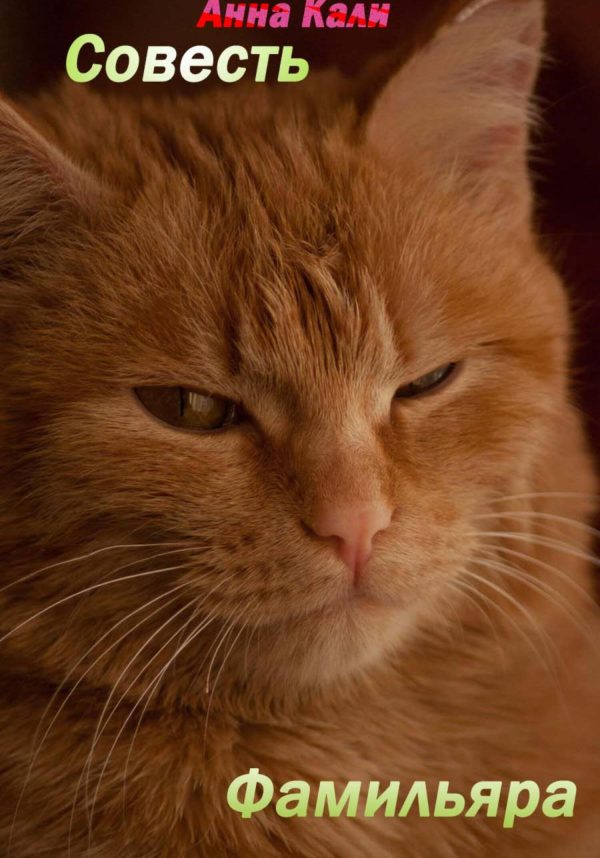 Обложка книги «Совесть для фамильяра»
