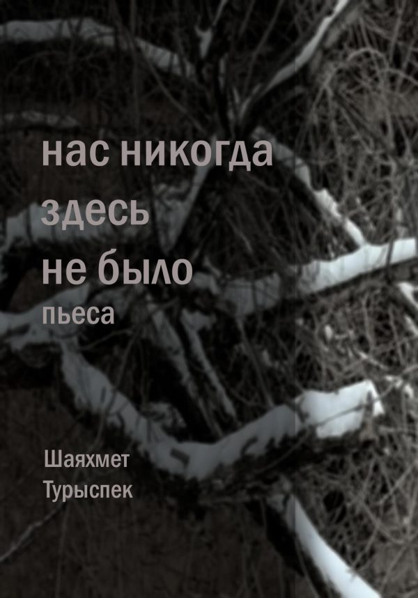 Обложка книги «Нас никогда здесь не было»