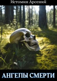 Обложка книги «Ангелы смерти»