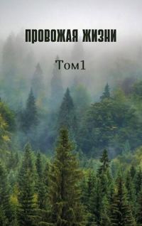 Обложка книги «Провожая жизни. Том 1 (СИ)»