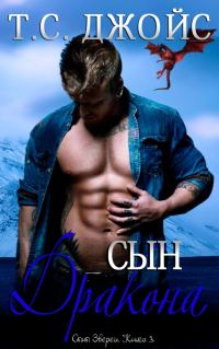 Обложка книги «Сын дракона»
