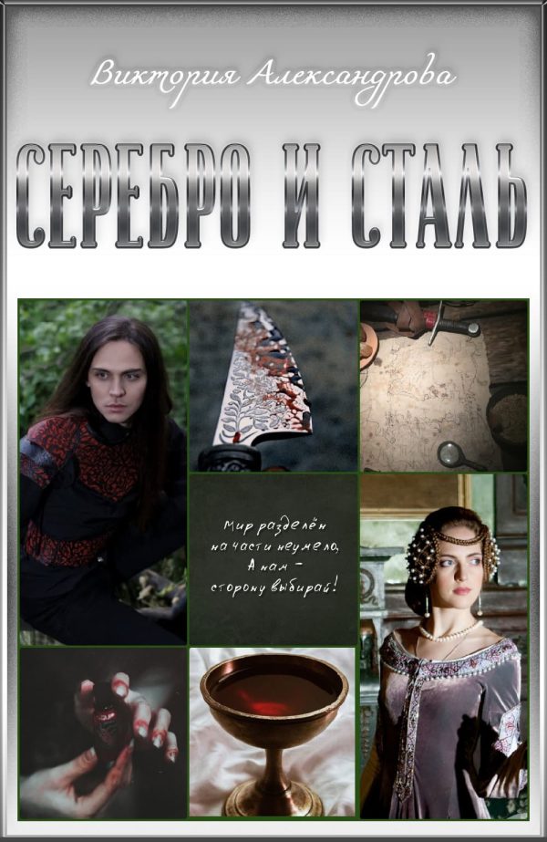 Обложка книги «Серебро и сталь»