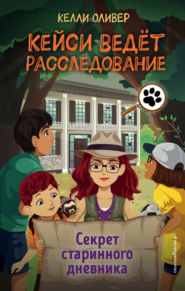 Обложка книги «Секрет старинного дневника»