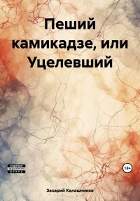 Обложка книги «Пеший камикадзе, или Уцелевший»