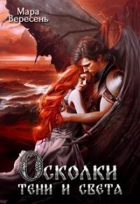 Обложка книги «Осколки тени и света»