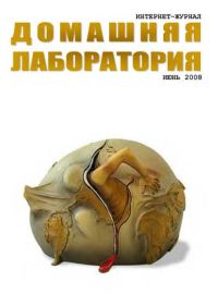 Обложка книги «Интернет-журнал "Домашняя лаборатория", 2008 №6»