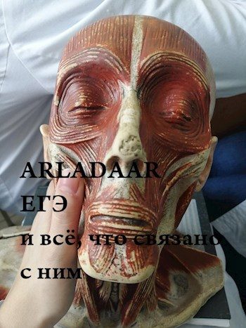 Обложка книги «ЕГЭ и всё, что с ним связано. Поступаем в ВУЗ мечты»