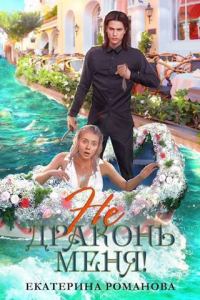 Обложка книги «Не драконь меня! (СИ)»
