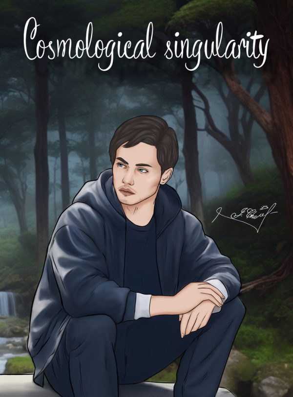Обложка книги «Cosmological singularity»