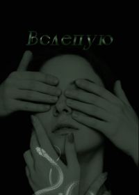 Обложка книги «Вслепую»