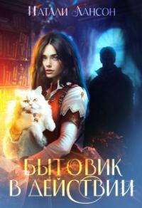 Обложка книги «Бытовик в действии»