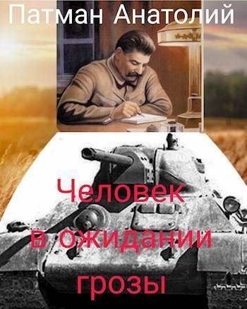 Обложка книги «Человек в ожидании грозы (СИ)»