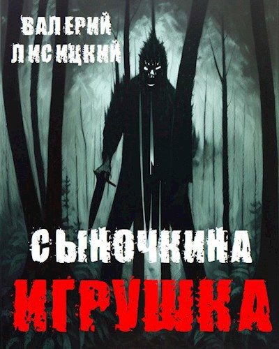 Обложка книги «Сыночкина игрушка»