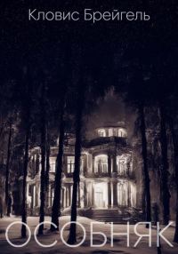 Обложка книги «Особняк»