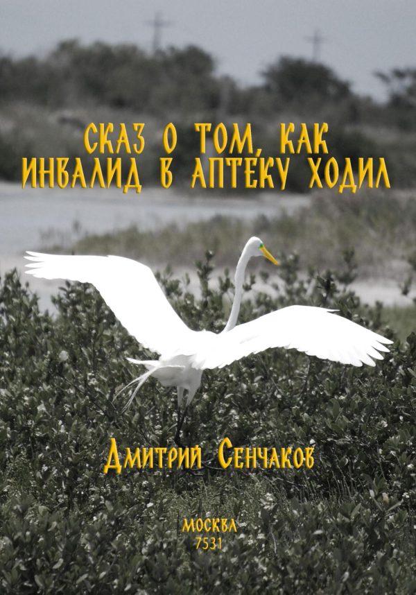 Обложка книги «Сказ о том, как инвалид в аптеку ходил»