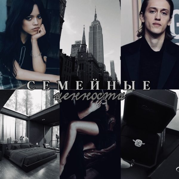 Обложка книги «Семейные ценности»