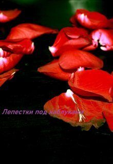 Обложка книги «Лепестки под каблуками»
