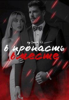 Обложка книги «В пропасть вместе»