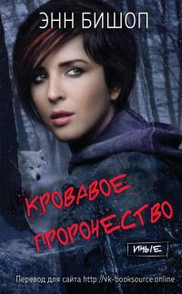 Обложка книги «Кровавое пророчество»