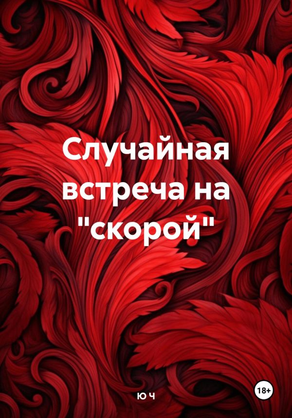Обложка книги «Случайная встреча на «скорой»»