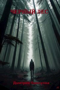 Обложка книги «Чёрный лес»