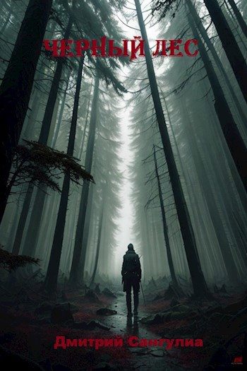 Обложка книги «Чёрный лес»