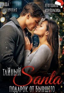 Обложка книги «Тайный Санта. Подарок от бывшего»