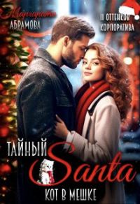 Обложка книги «Тайный Санта. Кот в мешке»