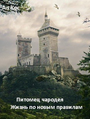 Обложка книги «Питомец чародея. Жизнь по новым правилам»