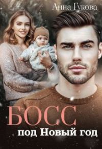 Обложка книги «Босс под Новый год»