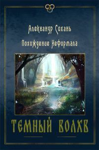 Обложка книги «Темный Волхв (СИ)»