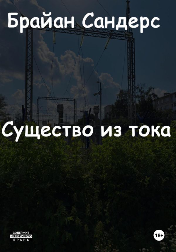 Обложка книги «Существо из тока»