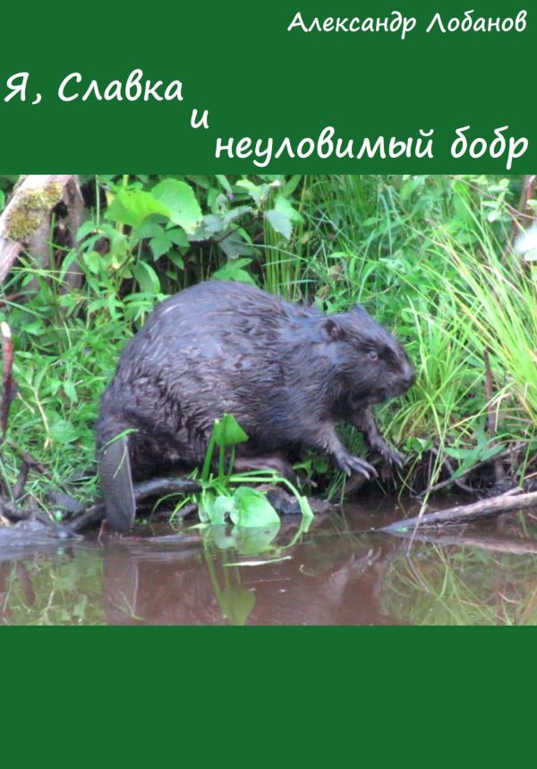 Обложка книги «Я, Славка и неуловимый бобр»