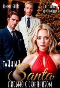 Обложка книги «Тайный Санта. Письмо с сюрпризом»