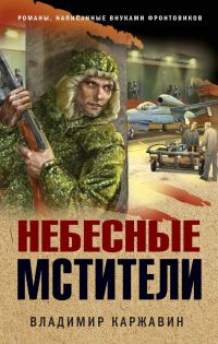 Обложка книги «Небесные мстители»