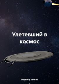 Обложка книги «Улетевший в космос»
